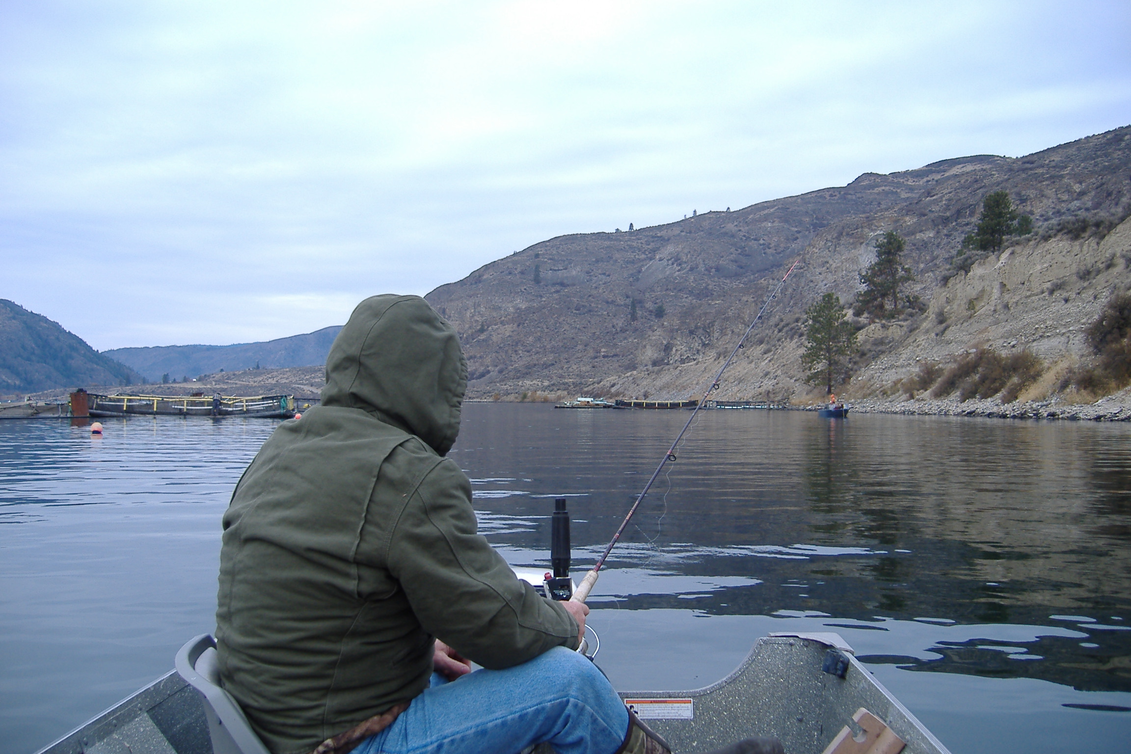 triploid-fishing-in-rufus-woods